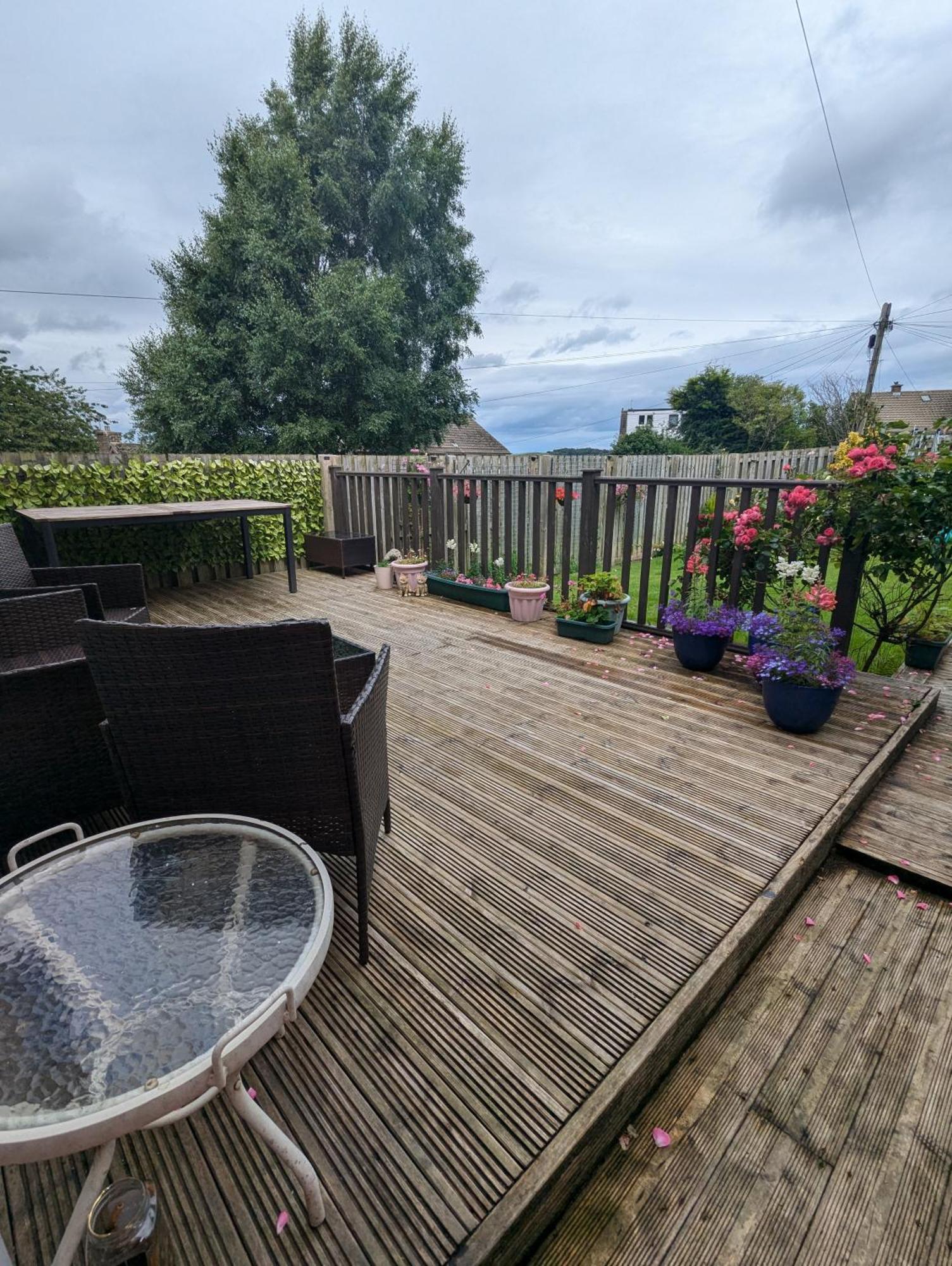 Single Room With Beautiful Garden Edimburgo Esterno foto